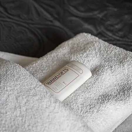 아파트 Rakowicka Old Town Luxury Wawelofts *