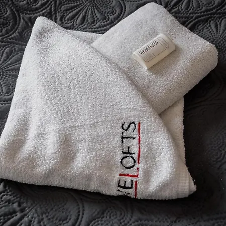 아파트 Rakowicka Old Town Luxury Wawelofts *