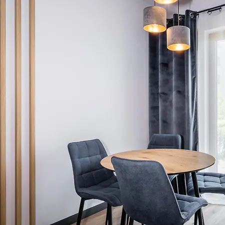 Rakowicka Old Town Luxury Wawelofts