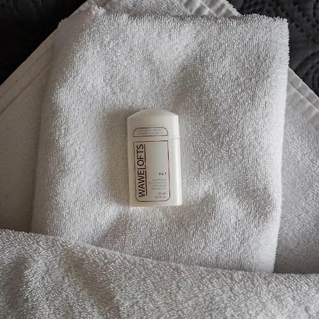 Rakowicka Old Town Luxury Wawelofts *