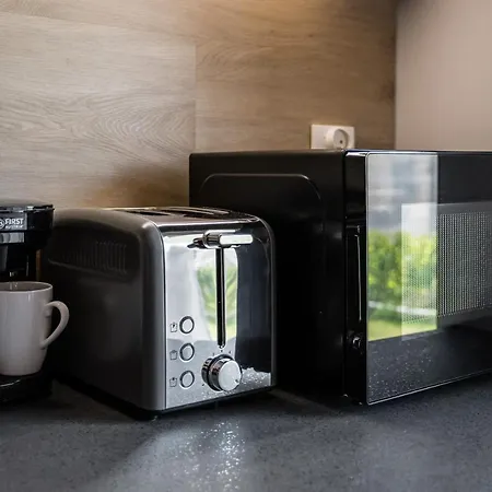 Rakowicka Old Town Luxury Wawelofts *