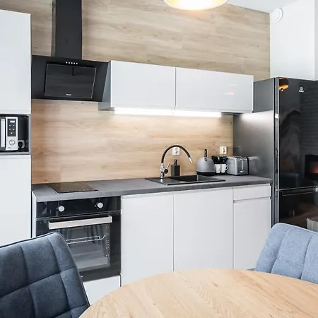 Rakowicka Old Town Luxury Wawelofts * Krakow