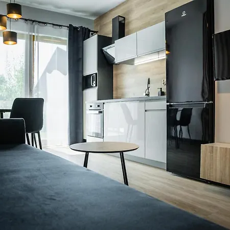 Rakowicka Old Town Luxury Wawelofts * Krakow