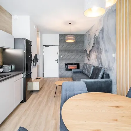 Apartment Rakowicka Old Town Luxury Wawelofts *