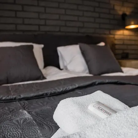 Rakowicka Old Town Luxury Wawelofts *