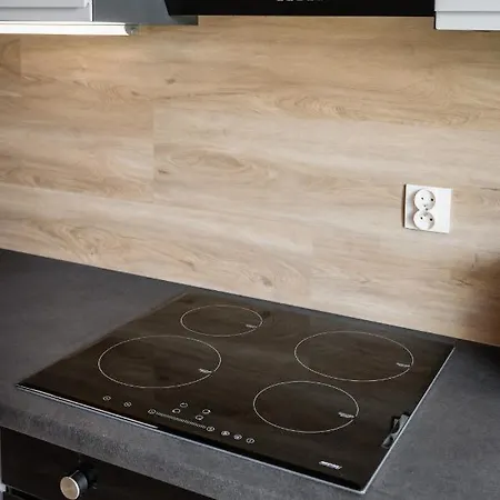 Rakowicka Old Town Luxury Wawelofts *