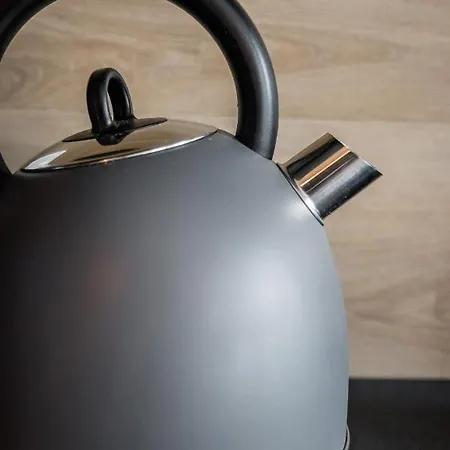 Rakowicka Old Town Luxury Wawelofts Daire *