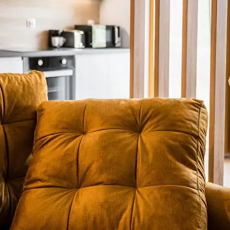 Rakowicka Old Town Luxury Wawelofts *